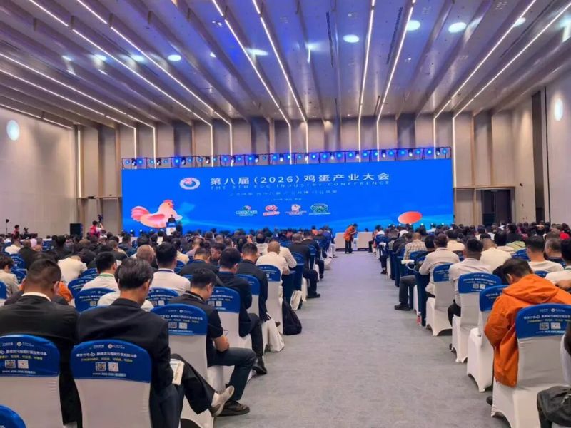 聚智赋能 蛋链新生｜卓一牧业亮相第八届（2026）鸡蛋产业大会